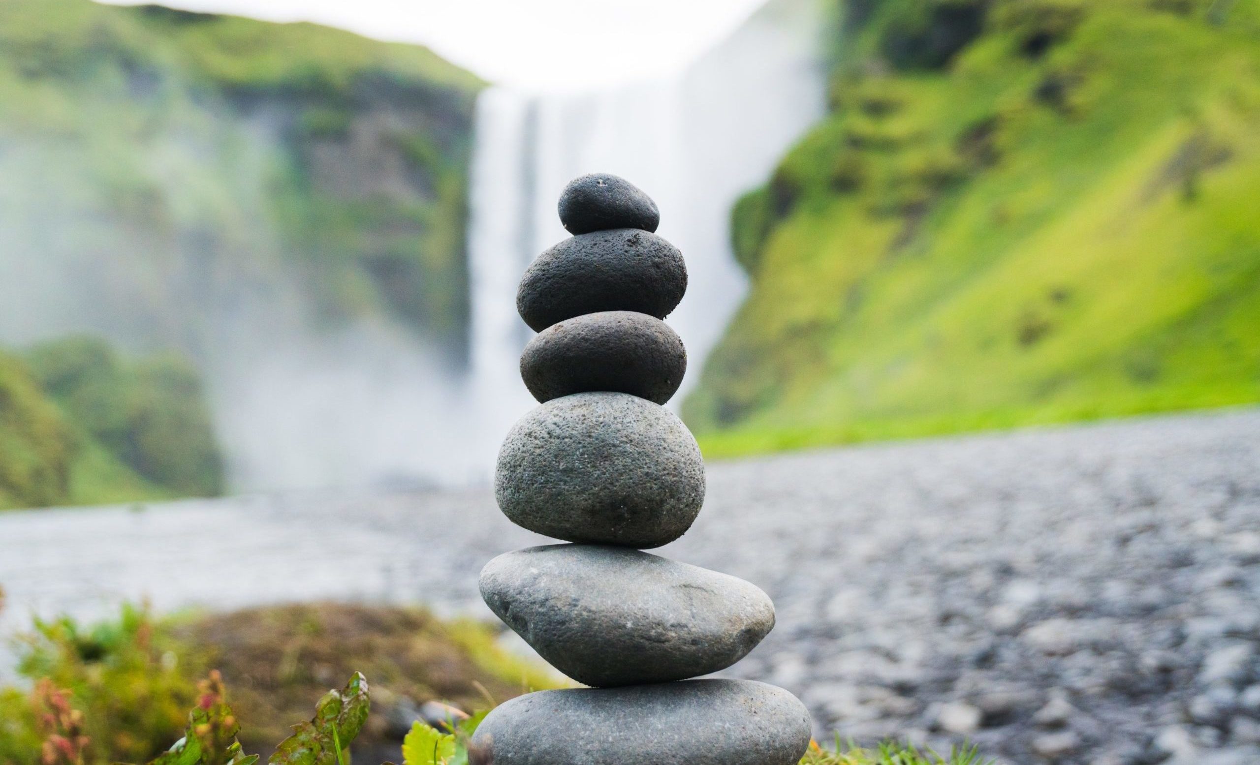 A photograph of a selection of cairns. A cairn is a man-made pile of stones. The cairns are in a forest sitting on green grass.