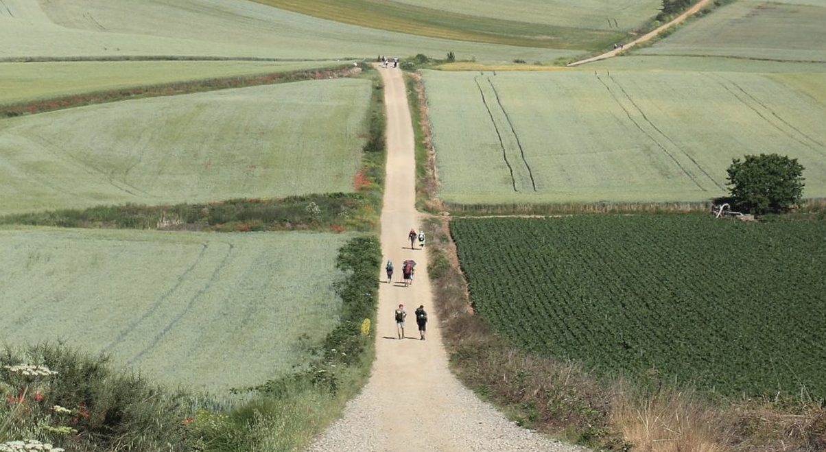 A photograph of pilgrims walking along a dirt road through green fields.