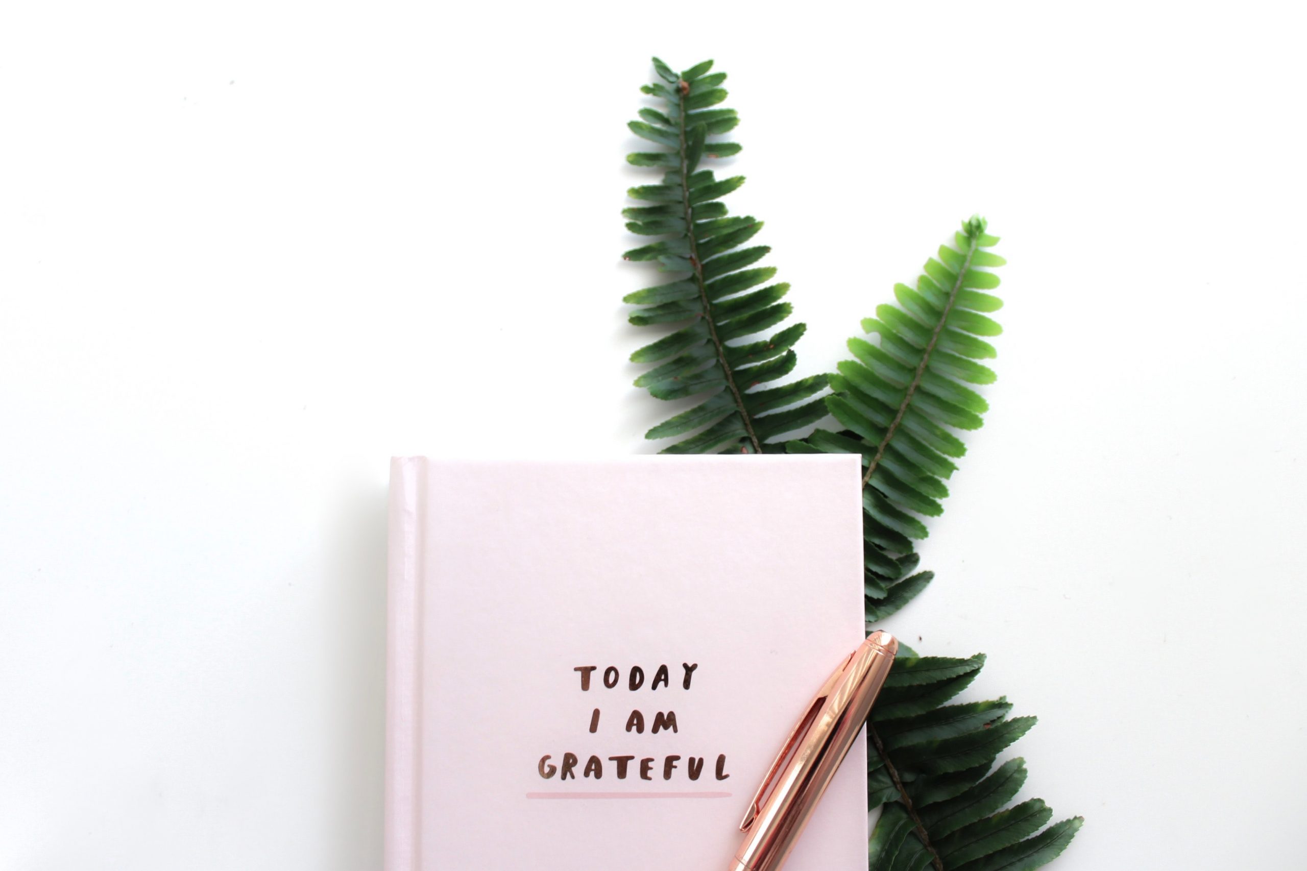 gabrielle-henderson-Y3OrAn230bs-unsplash (1)