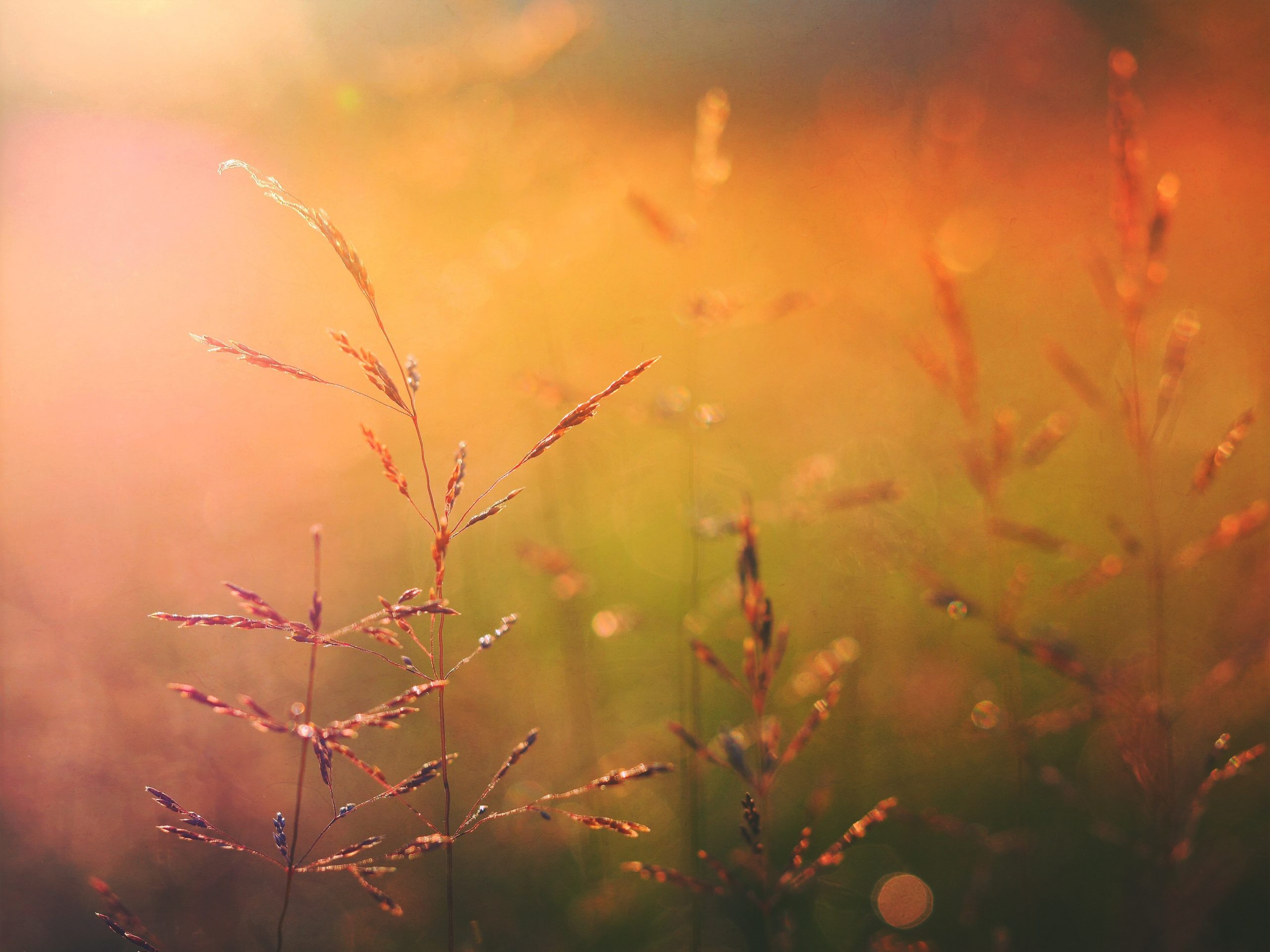 aaron-burden-2IjiGDZw-q0-unsplash